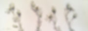 fullsizeoutput_474.jpeg