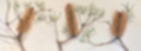 fullsizeoutput_470.jpeg