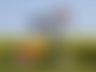 Year End Review and Outlook 2015