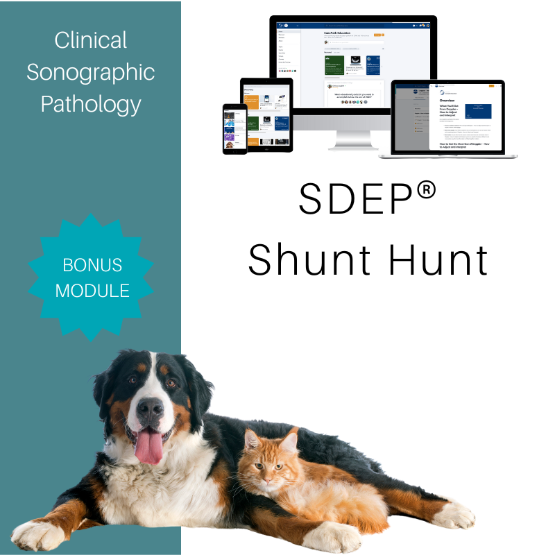 SDEP® Shunt Hunt