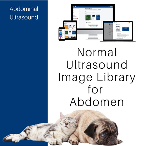 Normal Ultrasound Image Library Abdomen SonoPath