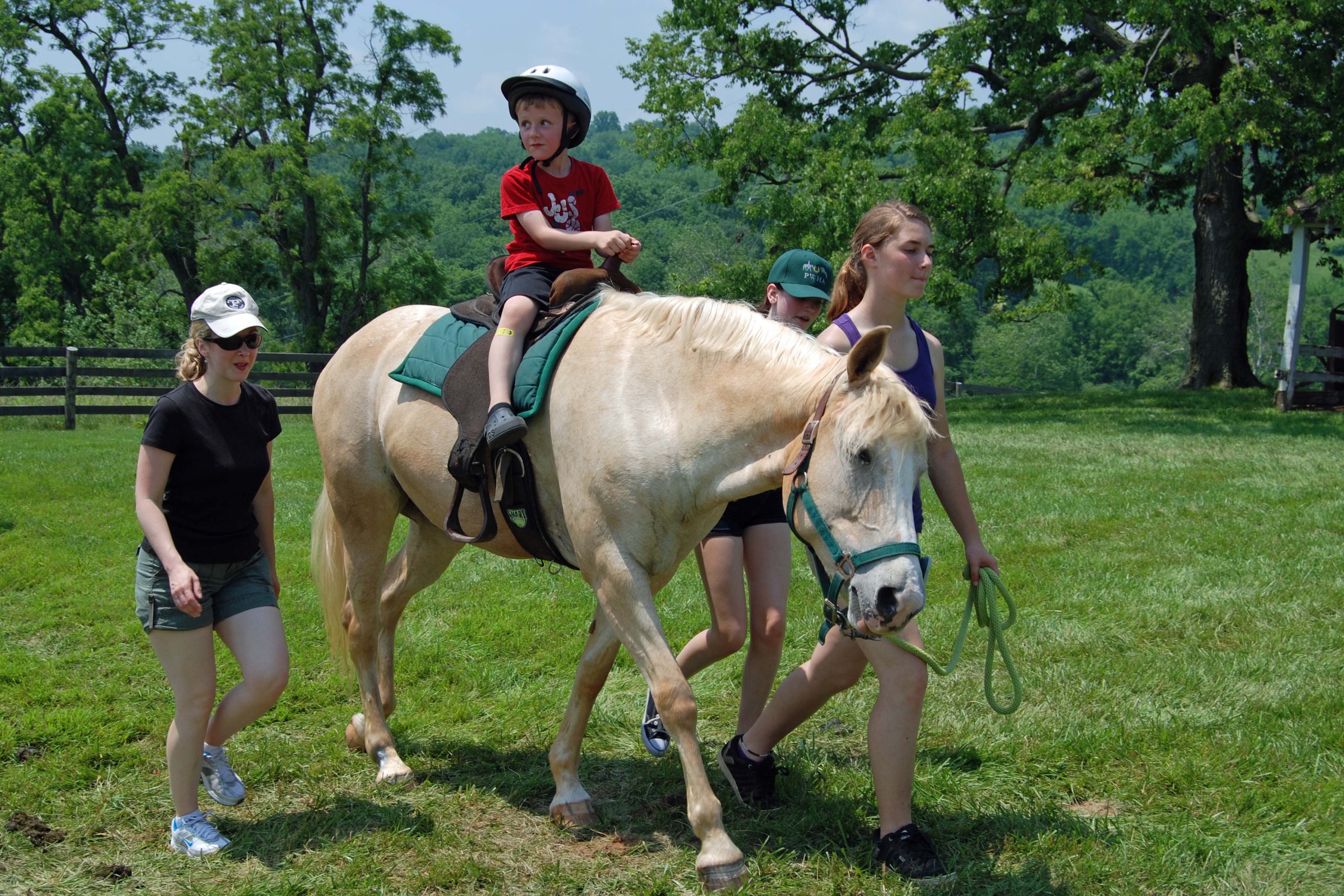 Pony Rides