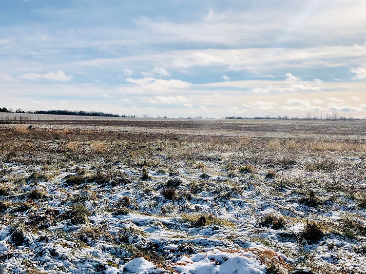 Snow on landscape