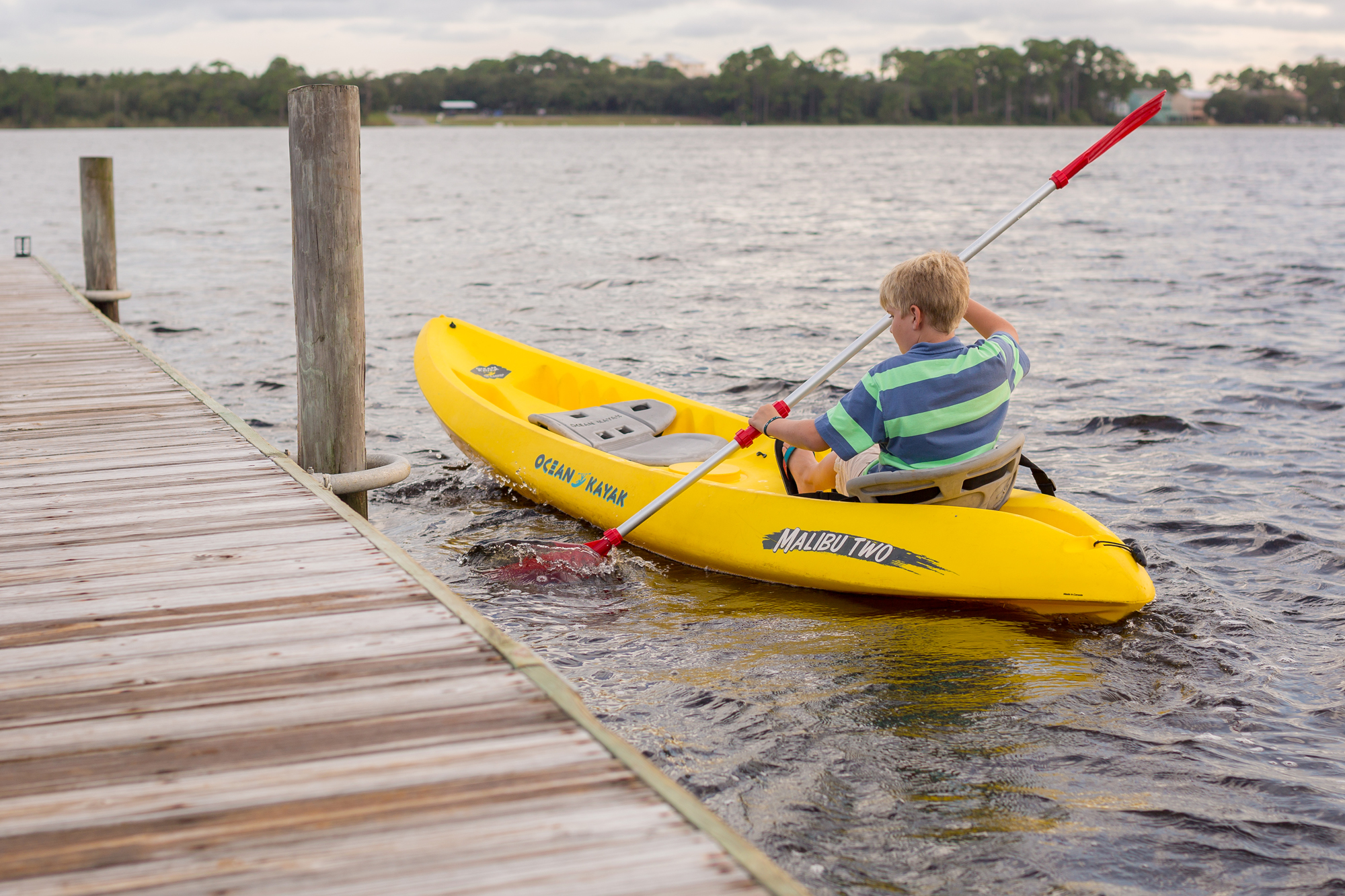 Wild Heron Panama City Beach, Florida Home
