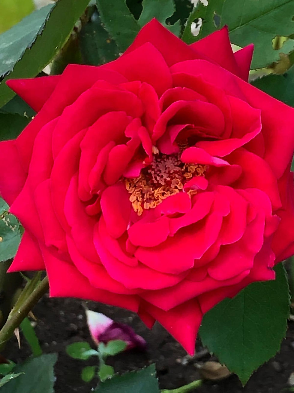 WhatsApp Image 2025-02-02 at 15.03.20