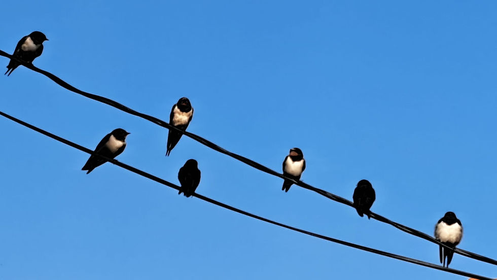 WhatsApp Image 2023-08-13 at 08.29.51