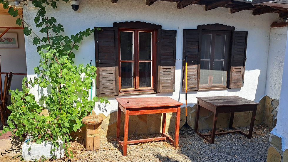 WhatsApp Image 2023-08-12 at 12.32.45 (1)