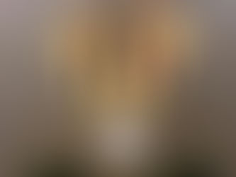 Pastoral Letter for Archbishop Farrell November 2023