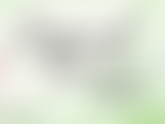 Dublin Diocesan 3rd Synod Newsletter