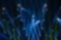 Performance Lighting