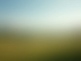 Finding Your Ideal Home in Rockingham County Properties