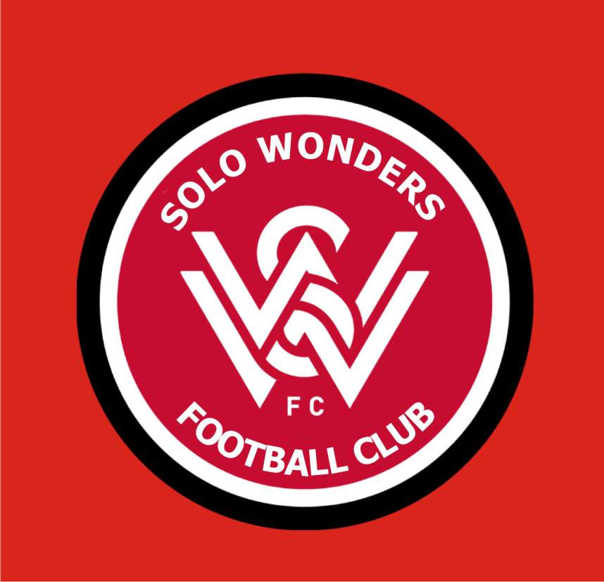 logo SWFC