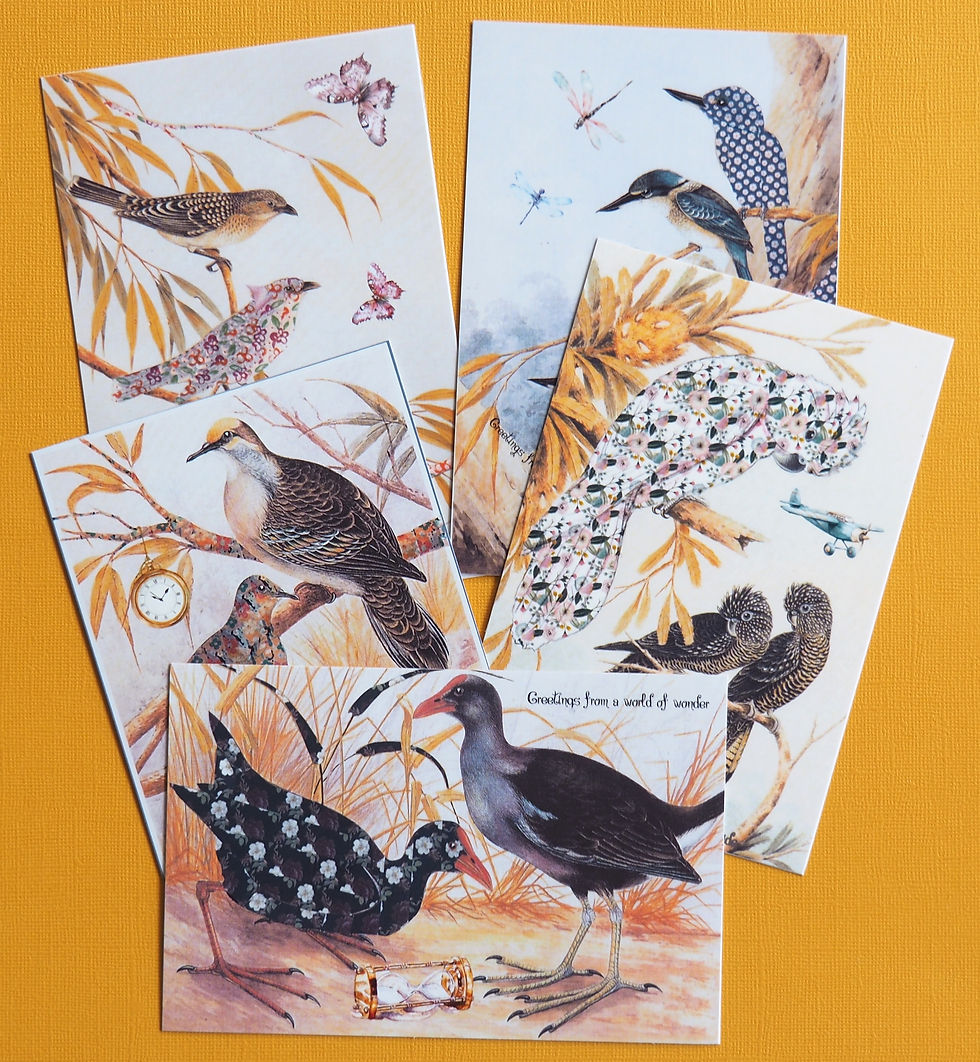 Greetings from the World of Wonder - postcards set