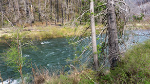 Highway 224 & the Upper Clackamas River - Part 7