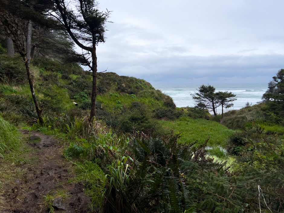 Where the trail nears the beach