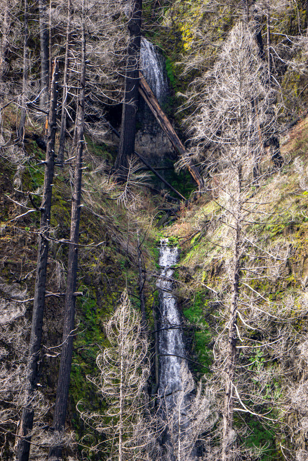 View of waterfall from 45.15962, -122.11776
