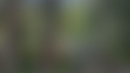 Lake 45.05656, -122.10787