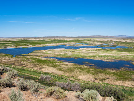 Buena Vista Overlook