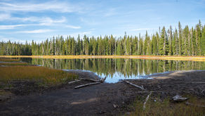 Scott Lake