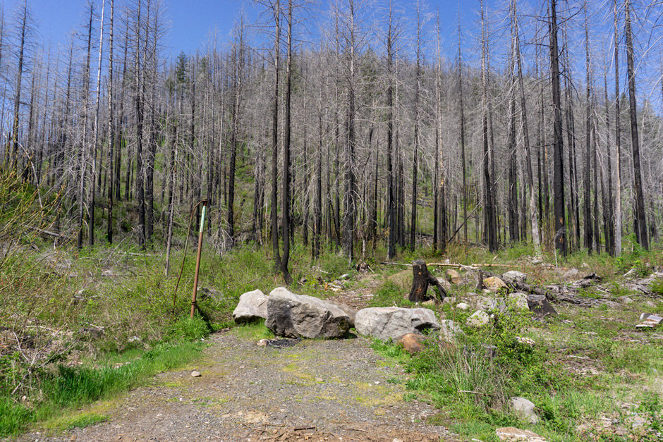 Start of trail