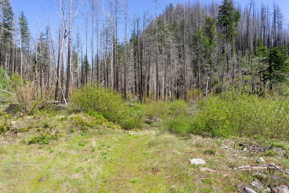 Trail start to get more faint