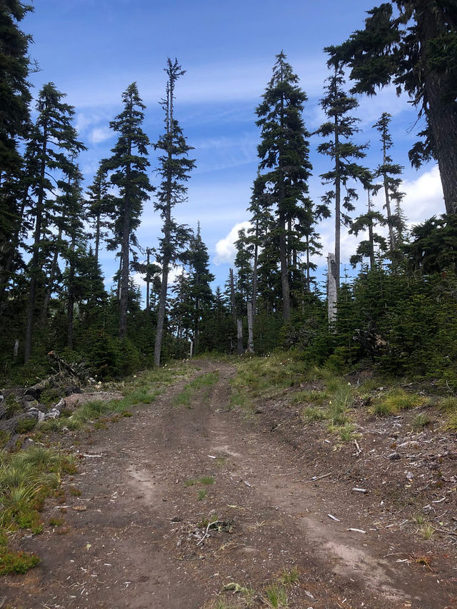 Lakeside trail