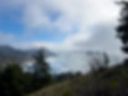 View to the south from 45.48419, -123.97111