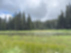 Marshy end of Chenamus Lake