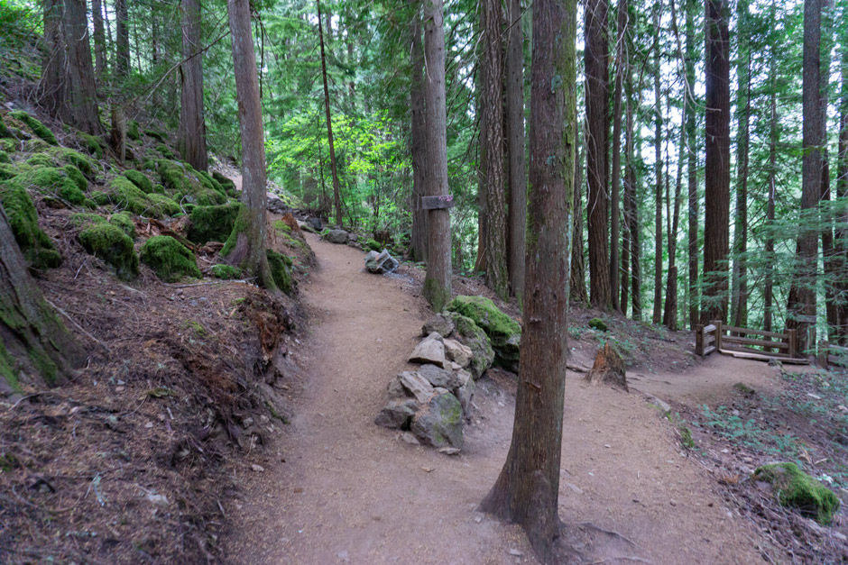 Split in trail - left goes to lower viewpoint, right goes to upper viewpoint