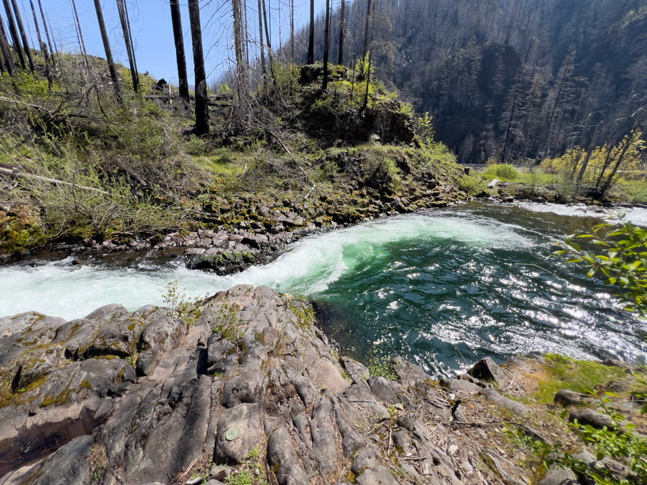 River edge #3: 45.15951, -122.11579