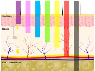 Core³: How does infrared sauna therapy benefit your body on a cellular level?