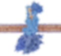 NuvieBio-1070146808.png