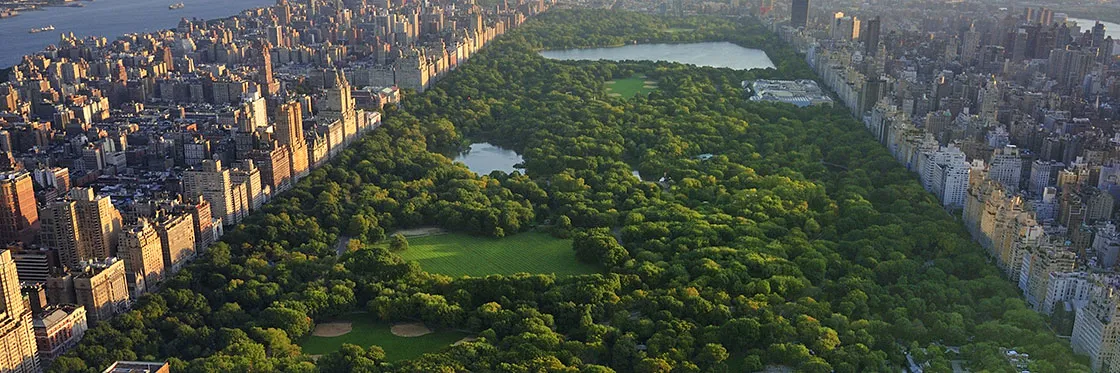 central-park.webp