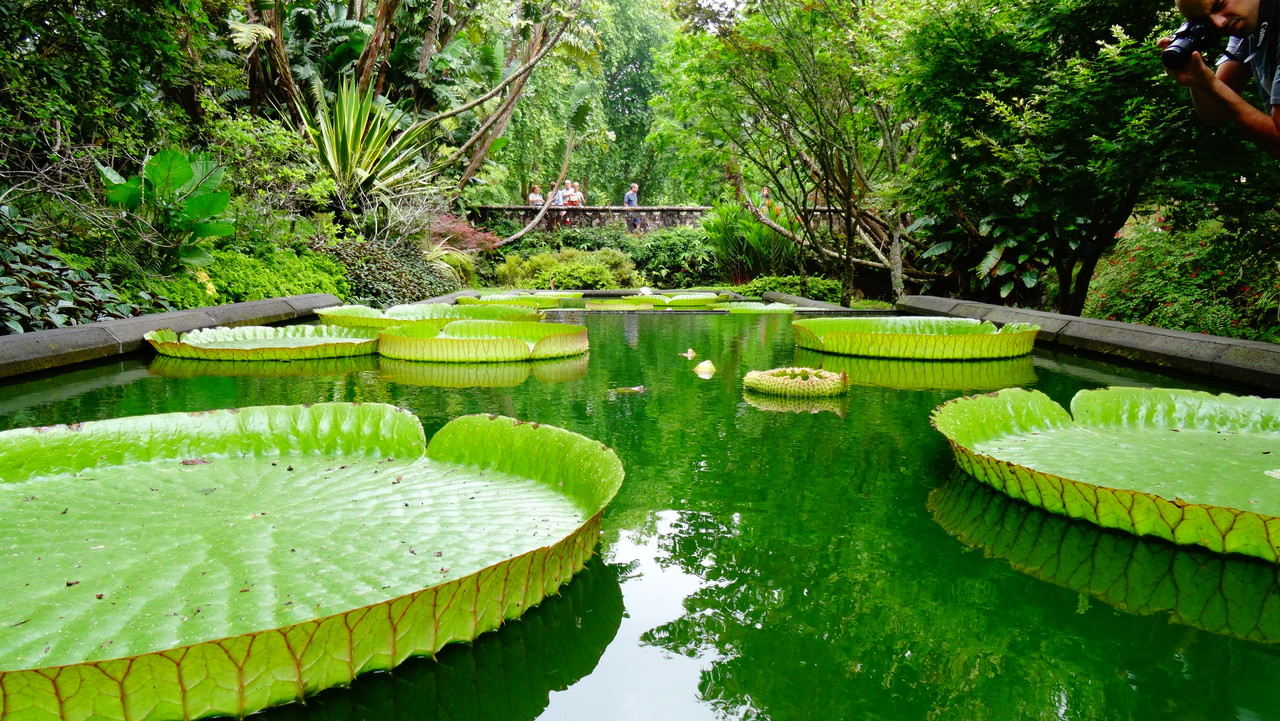 Parque Terra Nostra