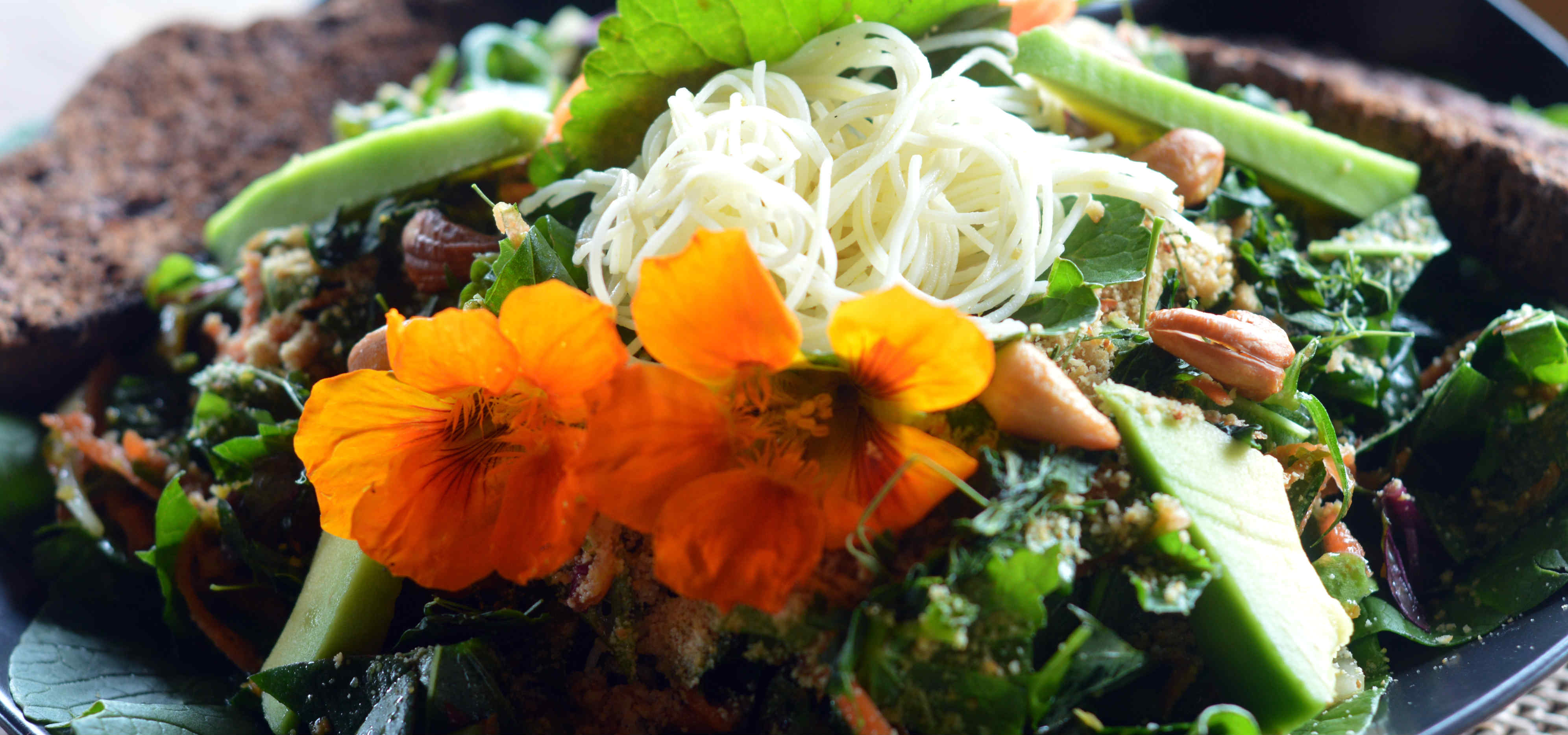 Our Special Eco Lodge Organic Salads