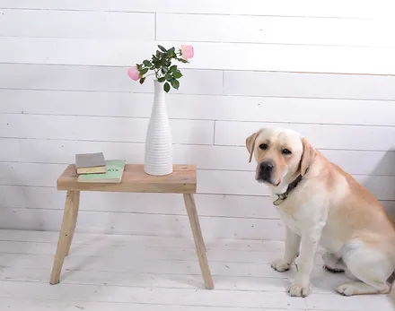 bois - tabouret - tabouret bois - Made in France - artisanal - tabouret fait main 