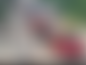 Turoperadores del Sur piden a Collado asumir conclusión de carretera