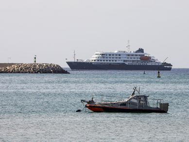 Tres infectados por hantavirus en el crucero MV Hondius serán evacuados a Países Bajos