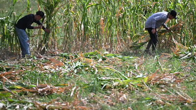 El Salvador se prepara ante un posible riesgo alimentario por El Niño