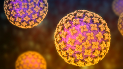 EE.UU. mantiene bajo vigilancia a 41 personas en el país por exposición al hantavirus