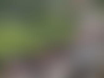 Caravana de 300 migrantes parte de Chiapas hacia la CDMX