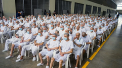 Justicia de El Salvador abre juicio masivo contra líderes de la Mara Salvatrucha