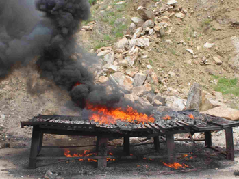 Marina destruye tonelada y media de cocaína asegurada en Guerrero