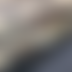 Decomisan arsenal en Tabasco, Zacatecas