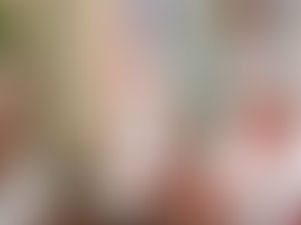 Nuevos embajadores europeos presentan credenciales al presidente Abinader