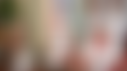 Nuevos embajadores europeos presentan credenciales al presidente Abinader