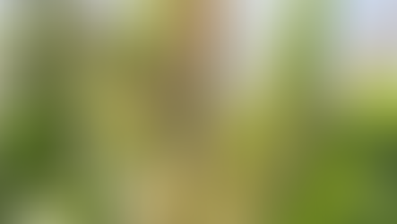 Campesinos denuncian “crisis agrícola sin precedentes”