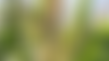 Campesinos denuncian “crisis agrícola sin precedentes”