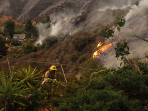 Trump califica de “incompetentes” a políticos a cargo de los incendios en Los Ángeles