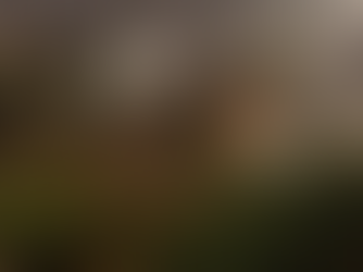 Trump califica de “incompetentes” a políticos a cargo de los incendios en Los Ángeles